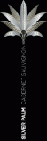 Silver Palm - Cabernet Sauvignon North Coast 0 (750ml)