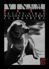 Vinum - Petite Sirah Clarksburg Pets Wilson Vineyards (750ml) (750ml)